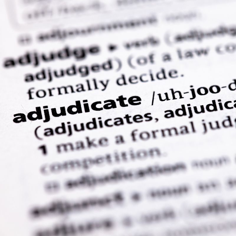 An off-angle photo of the page of the dictionary that contains the definition for adjudicate